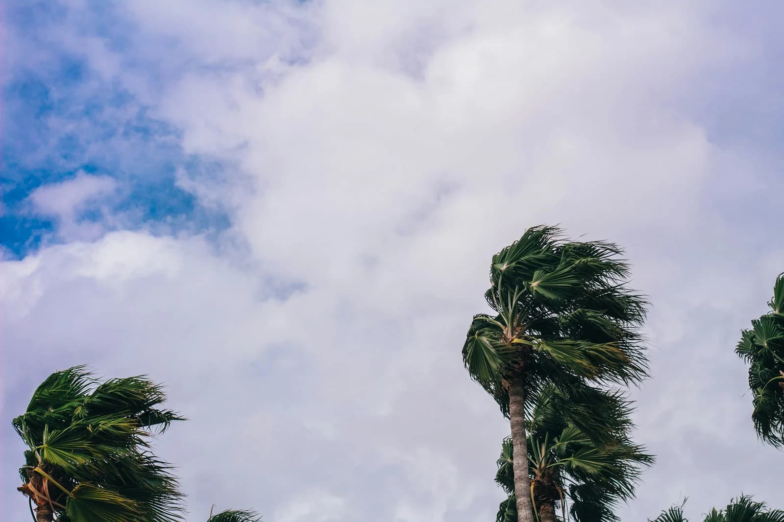 Super Typhoon Bavi Cut Guam Off From the World. Most Resorts Will Waste the Next 72 Hours.